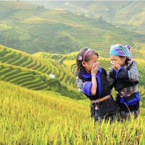 Gạo Điện Biên 10kg