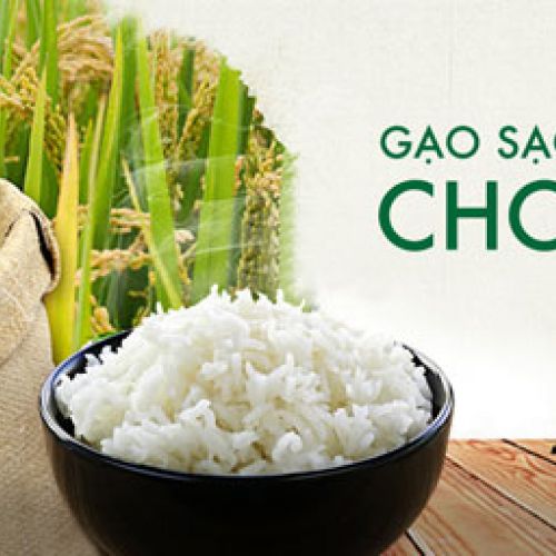 Giới thiệu