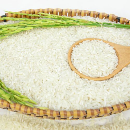 Gạo 504
