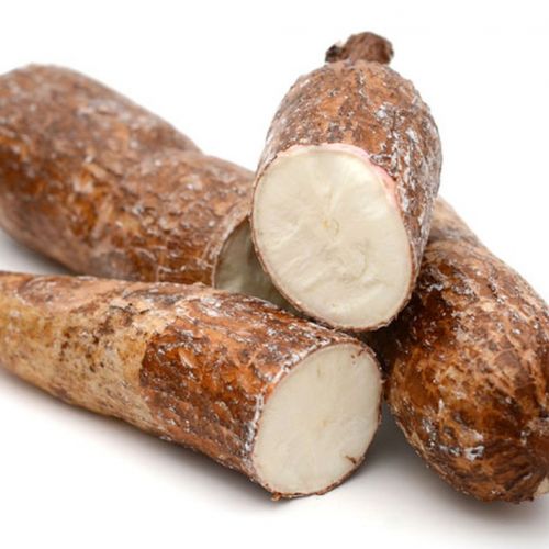 Sắn