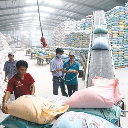 Xuất khẩu nông sản sang EU sẽ tăng 20%'