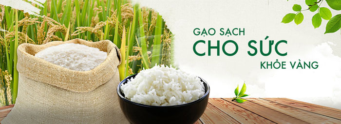 website-ban-gao